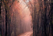 亚冠彩经：上海申花力克神户.