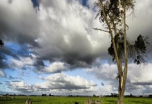 亚冠彩经：上海申花力克神户.