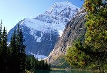 太阳报：泰国便衣警察穿利物浦球衣逮捕了穿纽卡球衣的毒贩.